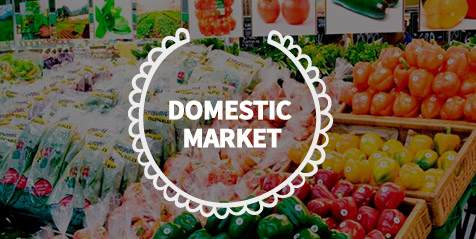 domestic-market