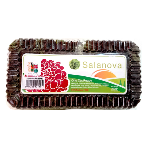 Salanova Red Frisee