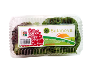 Salanova Mix Butterhead