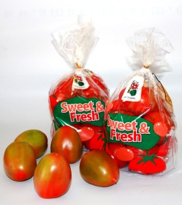 Sweet and Fresh Tomato